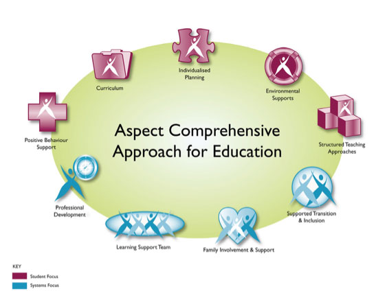 Chart showing aspect comprehensive approach for education